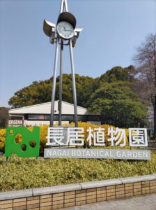 ハスの観賞スポット